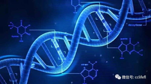 超越AI 新一代基础资源与技术重塑未来